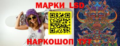 Альфа ПВП Дубна