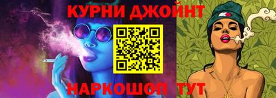 Альфа ПВП Дубна