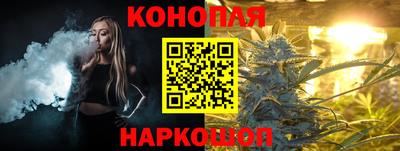 шишки Донской