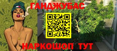 Альфа ПВП Дубна