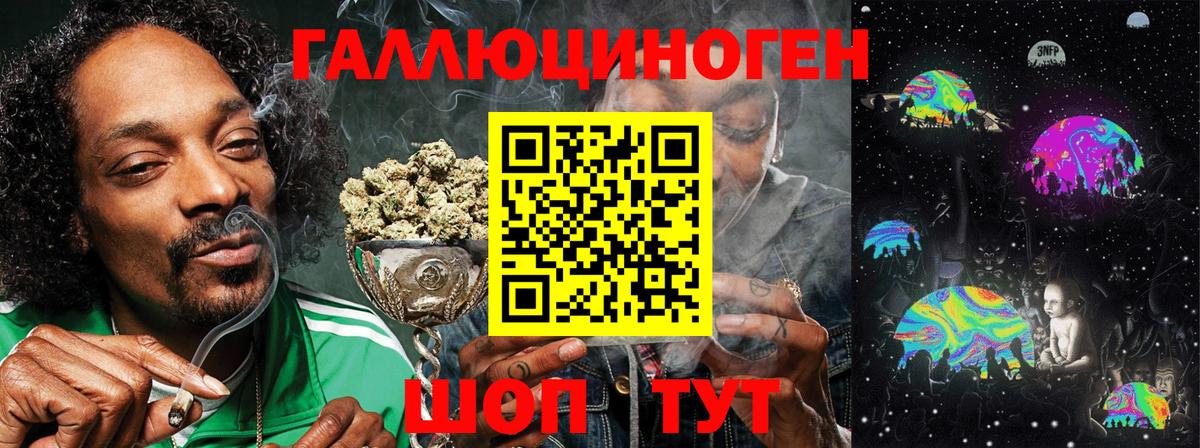 Галлюциногенные грибы Psilocybe Миллерово