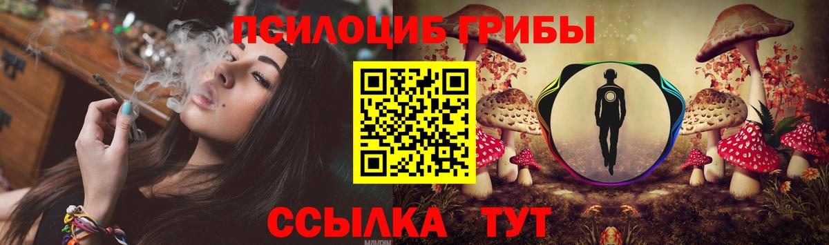 Миллерово  Галлюциногенные грибы Cubensis  Галлюциногенные грибы Psilocybe  Вход с VPN 